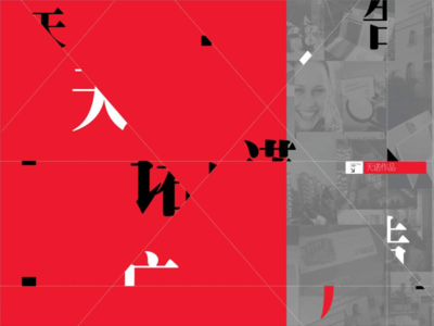 2011年阜阳市颍上县南苑置业营销总纲